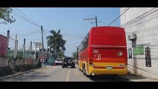 Chachalacas El Camino a las dunas Abril 2024 [upl. by Larson]