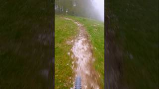 Thriller im Bikepark Petzen [upl. by Penoyer270]