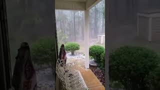 Pugsley scared during hailstorm [upl. by Narcis]