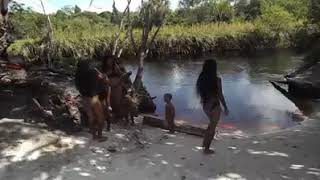 Lokono Arawak documentary river bath scene rough clip [upl. by Rastus]