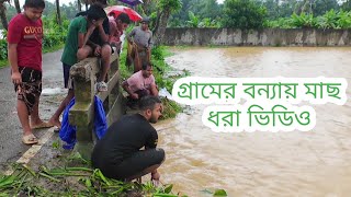 গ্রামে বন্যায় মাছ ধরার ভিডিওCumilla Bonna Video 2024 [upl. by Cnahc933]