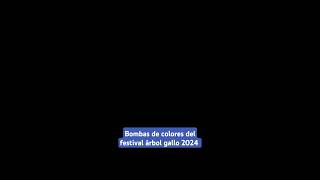 Se escuchan bombas de colores del festival árbol gallo desde Santa Anita de Boca del Monte 2024 [upl. by Ruckman486]