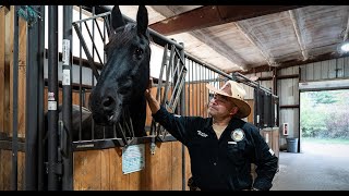 New York equine therapy program helps veterans heal [upl. by Acirtap]