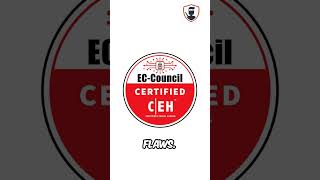 Certified Ethical Hacker CEH  Stealth Security [upl. by Markos]