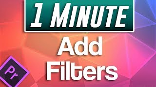 Premiere Pro  How to Add Filters to Video [upl. by Bore542]