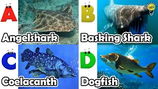 ABC phonics animals  ABC Sea Animals song  English and Animals for Kids  Alphabets Kids Song [upl. by Eugenia]