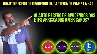 Quanto Recebo de Dividendos Com Minha Carteira De ETFS Americanos e Pimentinhas [upl. by Ydualc]