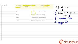 Afferent nerves are called  and motor nerves are called   12  STRUCTURAL [upl. by Hannaj]