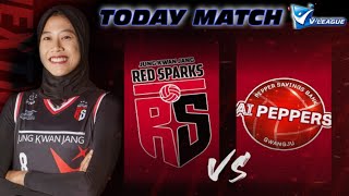 🔴 Live Volleyball GWANGJU PEPPER vs RED SPARKS  Megawati Starter [upl. by Mirak]