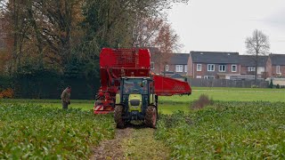 BIETEN ROOIEN HOOG WATER [upl. by Dunston]