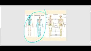 Lecture Video 1 Axial amp Appendicular Skeleton [upl. by Norward]