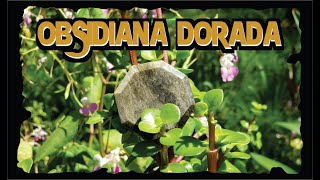 OBSIDIANA DORADA  CARACTERISTICAS Y PROPIEDADES MAGICAS  ESOTERISMO AYUDA ESPIRITUAL [upl. by Culhert]