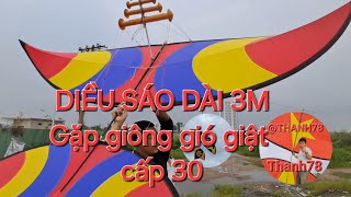 diều sáo 3m thử sức với gió giông cấp 30 gió giật [upl. by Aniral]