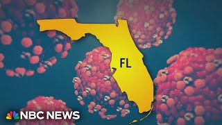 Measles outbreak grows in Florida with seventh case reported [upl. by Nivle]