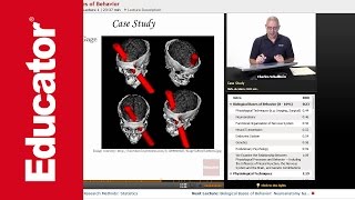 quotBiological Bases of Behaviorquot  AP Psychology with Educatorcom [upl. by Lat]