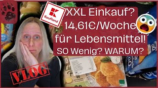 SPAREN extrem günstiger Wocheneinkauf 1461€ 😨Pfand amp ALLES da foodhaul budgetplanung vlog [upl. by Ketchum872]