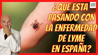 ¿QUE ES LA ENFERMEDAD DE LYME o DE LA GARRAPATA 🆘 SÍNTOMAS NEUROLÓGICOS HUMANOS CAUSAS EN ESPAÑA [upl. by Aicitan]