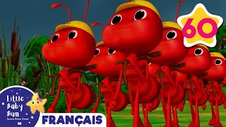 Les Fourmis Marchent  Comptines et Chansons pour Bébés  Little Baby Bum en Français [upl. by Brick826]