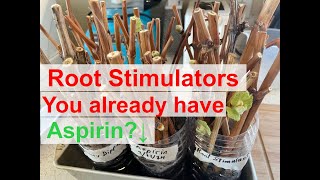 Which root stimulators you already have at home work best Part 2 [upl. by Anamuj293]