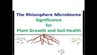 The Rhizosphere Microbiome Significance for Plant Growth and Soil Health [upl. by Alissa]