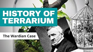 A Brief History of the Terrarium The Wardian Case [upl. by Vassell334]