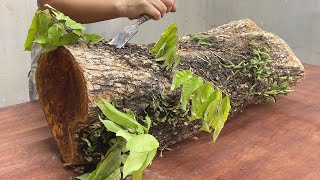 Most Unique Coffee Table Design Ideas  Amazing Skills Of Young Carpenter With Ancient Tree Trunk [upl. by Keram719]