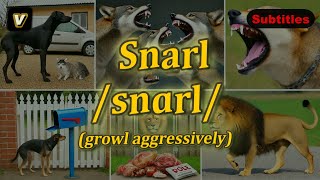 v Snarl meaning growl aggressively with 5 examples [upl. by Nerrad]