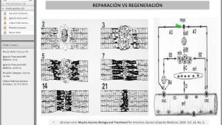 Readaptación físico deportiva de Lesiones Musculares I [upl. by Monteith]