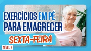 TREINO FÁCIL PARA EMAGRECER  SextaFeira  EM PÉ  Nível 2  Exercícios para Idosos [upl. by Zakarias]