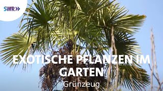 Kakteen und Palmen  Exoten im Garten  SWR Grünzeug [upl. by Bonney345]