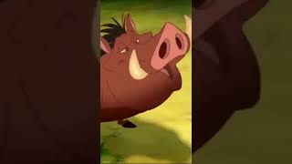 The Lion Sleeps Tonight shorts  TIMON amp PUMBAA IN THE MOVIES [upl. by Ruelu]