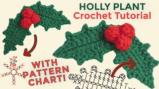 EASY Holly Plant Crochet Tutorial [upl. by Ardnuasal]