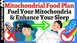 TOP Mitochondrial Foods amp Supplements for Your BEST Sleep [upl. by Brynna710]