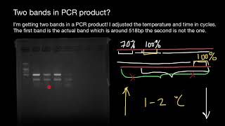 How to get rid of unspecific bands in Gel Electrophoresis [upl. by Karoly]