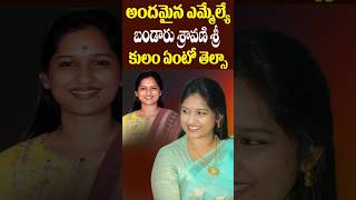 TDP MLA Bandaru Sravani Caste Details  Lifestyle  Singanamala MLA  Tollywood Nagaram [upl. by Onibla]