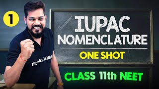 IUPAC Nomenclature  Complete Chapter in One Video  ConceptsPYQs  Class 11th NEET [upl. by Adrial53]