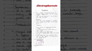 Electrophoresis  Electrophoresis Biochemistry csirnet msczoology [upl. by Rento]