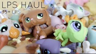 LPS Haul 35 LPS and Accessories [upl. by Eulaliah]