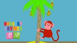 MONKEY  Original Song  Nursery Rhymes TV  English Songs For Kids [upl. by Alodee]