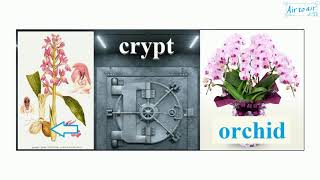 cryptorchidism [upl. by Kirtap]