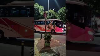 Bus murnijaya [upl. by Anawad88]