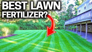 What is the BEST LAWN Fertilizer  STOP Wasting Money [upl. by Ainekahs]