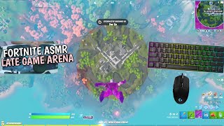 GK61 And Logitech G203 ASMR 🤩 Red Switches Chill Keyboard Fortnite Late Game Arena Gameplay 🎧 [upl. by Ytsirk]