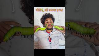 कीड़े🐛को बनाया BiwiWifecomedy insect [upl. by Renruojos]