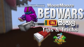 Minecraft Bedwars Tips amp Tricks  CwR Minecraft Server [upl. by Latty]