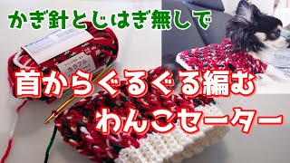 【かぎ針犬用セーター】サイズ調整OK 100均毛糸可愛さ全開カラフルヤーンでわんこセーターを編んでみました [upl. by Alliuqet]