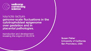 Genomescale fluctuations in the cytotrophoblast epigenome   Susan Fisher [upl. by Arait890]