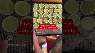 How to dehydrate lemons or limes [upl. by Pennie514]