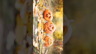 🌹⁷☆•⁵ Gourd Family Cucurbits  Cucurbitaceae [upl. by Eltotsira]