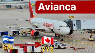 Avianca A320 Premium Seats Trip report  San Salvador SAL  TorontoYYZ 4K [upl. by Kcirdnekel]